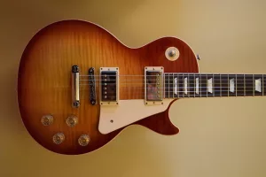 Electric guitars cost a bit more than acoustic guitars, but there are more style and color options and you can do a lot more with the sound. Gibson and Epiphone Les Pauls like the one shown are among the most popular on the market today