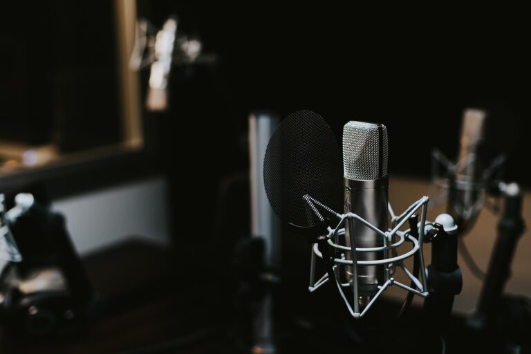 It is impossible to name the best microphone for recording vocals but we can certainly list ten great options for under five hundred bucks