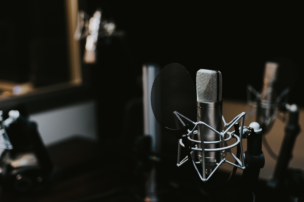 It is impossible to name the best microphone for recording vocals but we can certainly list ten great options for under five hundred bucks